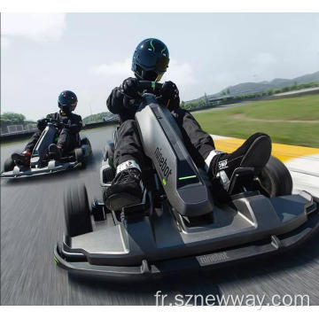 Ninebot électrique go panier karting sport gocart pro